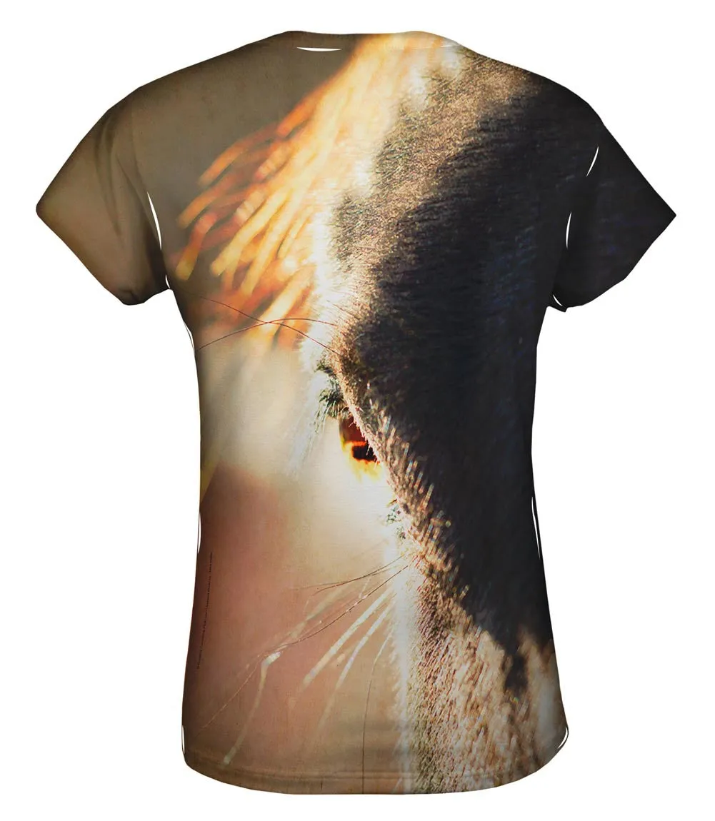 Watchful Horse Eye