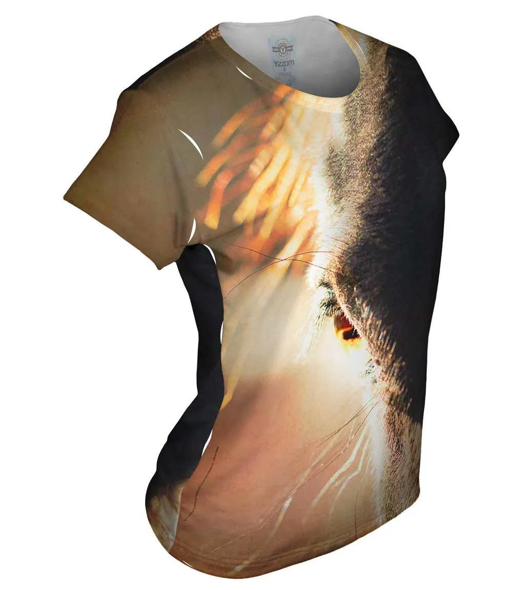 Watchful Horse Eye